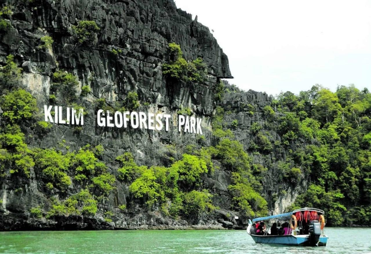 Jelajahi Ekosistem Mangrove yang Menakjubkan di Langkawi