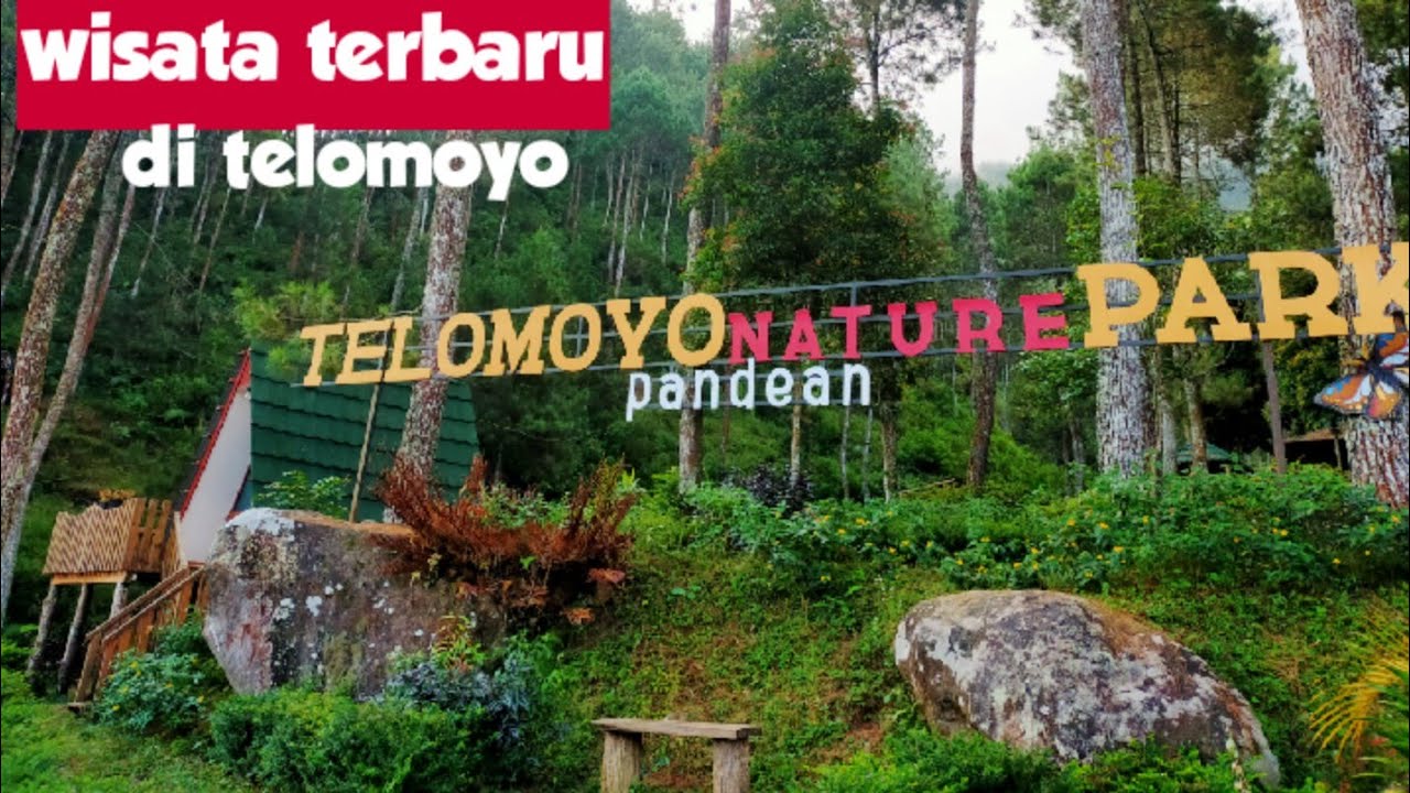 Jelajahi Telomoyo Nature Park: Surga Alam di Lereng Gunung Merbabu